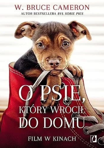 O psie który wrócił do domu – recenzje, streszczenie i gdzie kupić książkę