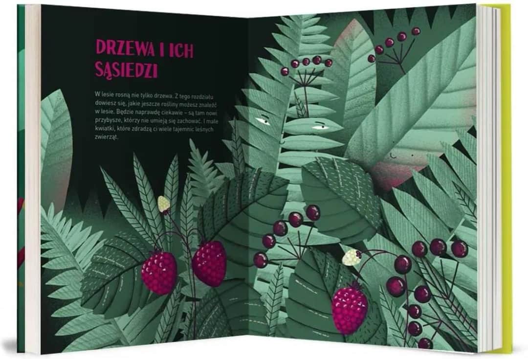 Czym jest literatura popularnonaukowa i dlaczego warto ją znać?